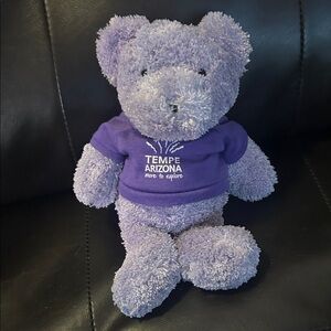 Purple Teddy Bear with Tempe Arizona Shirt